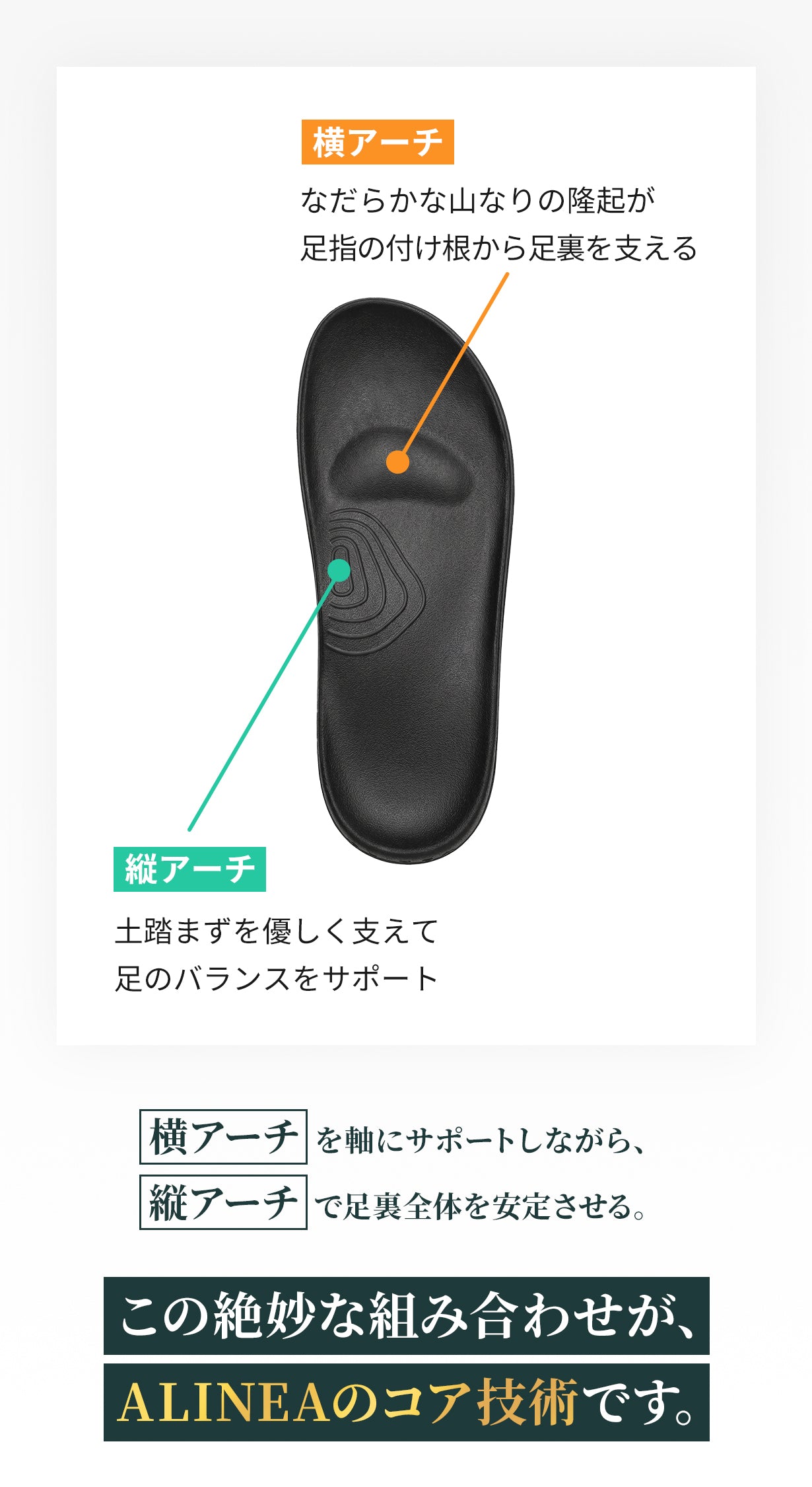 ALINEAリカバリーサンダル 商品紹介 24