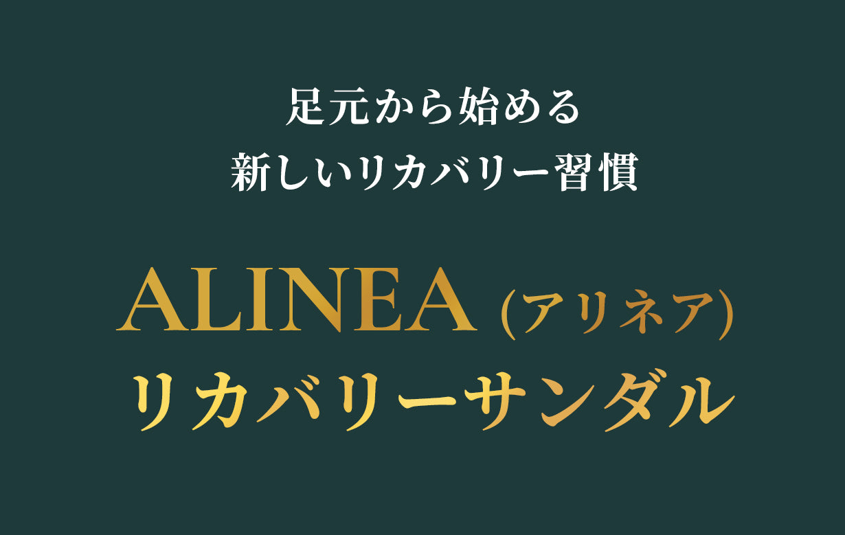 ALINEAリカバリーサンダル 商品紹介 49